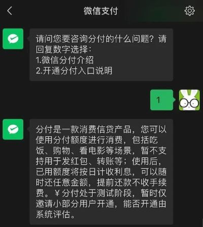 微信分付额度套现指南，揭秘额度查看与获取真相