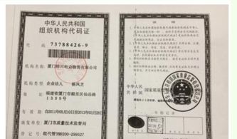 深圳封顶POS机办理指南