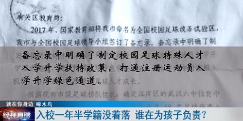 白条取现突然不见了，原因何在？
