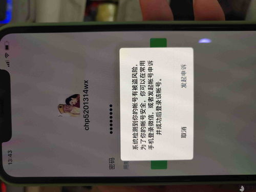平顶山POS机申请电话号码及案例解析
