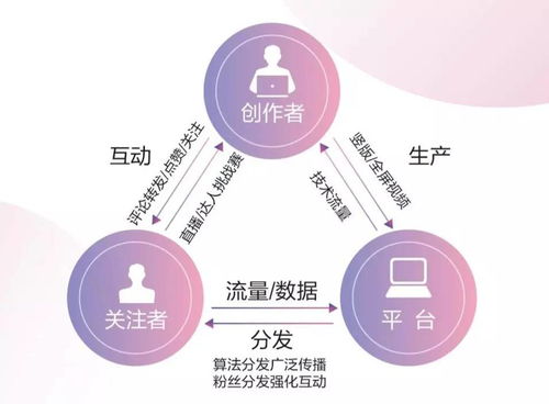 抖音月付提现介绍，操作指南、注意事项与案例分享