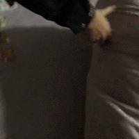 POS机办理陷阱揭秘，如何避免300元损失