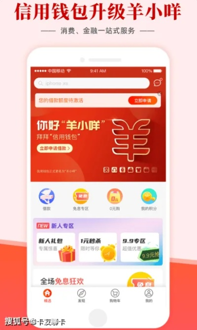 宁波套现羊小咩便荔卡的实用攻略