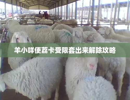 羊小咩便荔卡使用全攻略，如何轻松套用不尴尬？