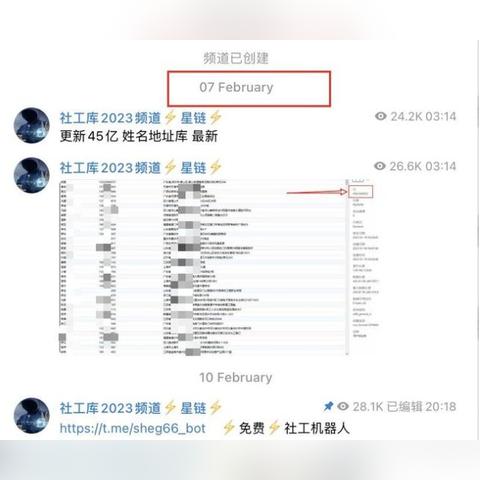揭秘酒店查开房记录工具，实用指南与案例分析
