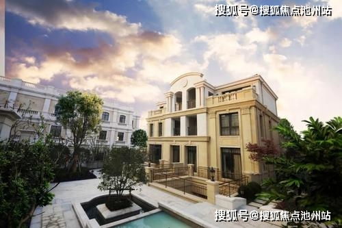 白条上海套出来的那些事，解析与案例分享