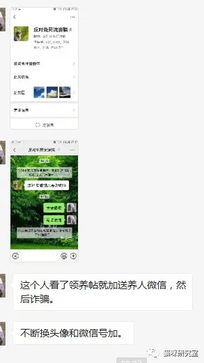 微信聊天记录被删了怎么办？5种方法+避坑指南（附真实案例）