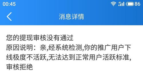 羊小咩便荔卡提现推广攻略，实用方法与案例解析