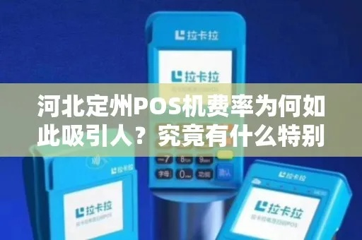 定州办理POS机指南