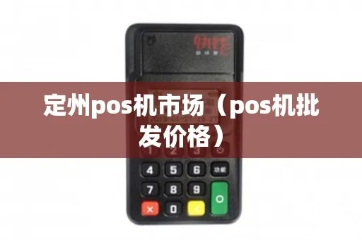 定州办理POS机指南