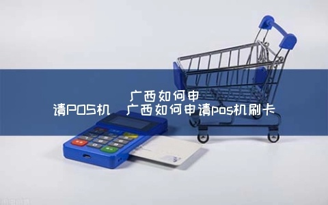广西壮族自治区个人申请POS机的流程与案例解析