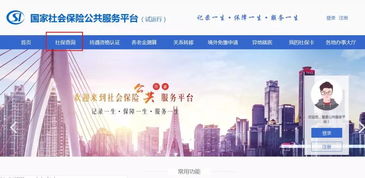 探索免费且正规的接单平台—您的工作新天地