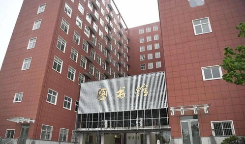 探索免费且正规的接单平台—您的工作新天地