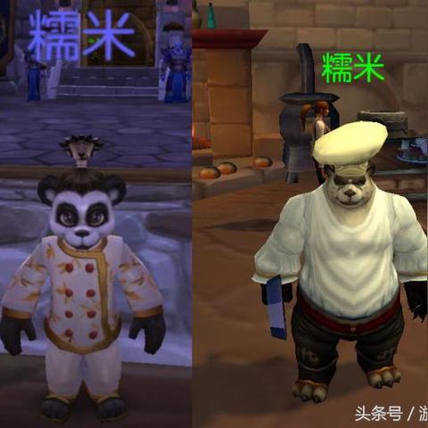 掌贝POS机办理指南，轻松开店，高效收款