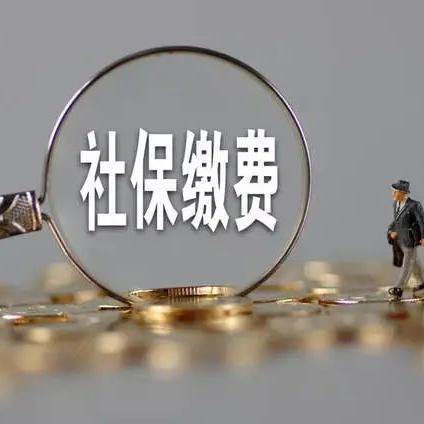 POS机办理全攻略，费用明细与案例解析