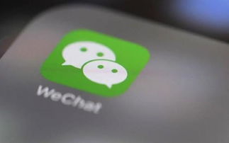 掌握安卓手机微信聊天记录，保护你的隐私安全