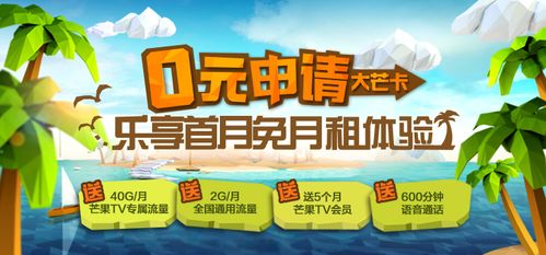 揭秘羊小咩享花卡提现全攻略，专业团队如何帮你高效处理？