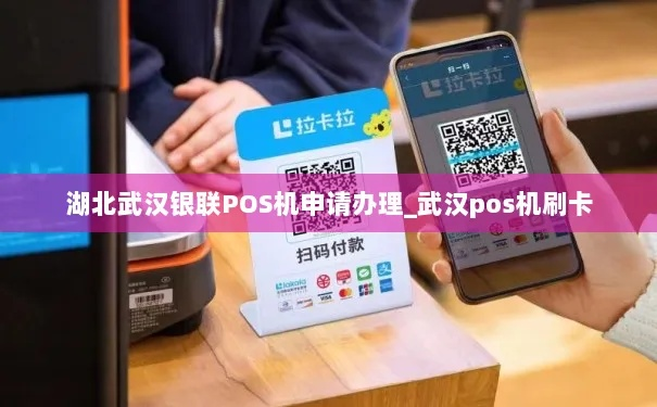 武汉第三方POS机申请书