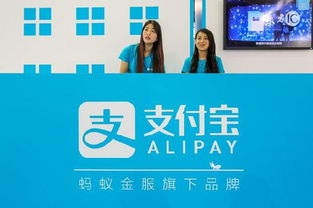 支付宝POS机申请助力信用卡支付—快速办理流程与案例解析