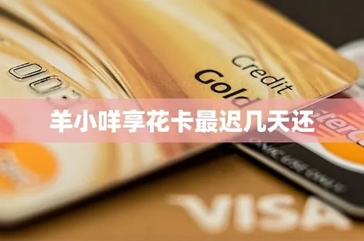 羊小咩享花卡免息期使用全攻略，如何算清次数不踩坑？