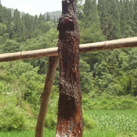 湖南POS机办理安装全攻略