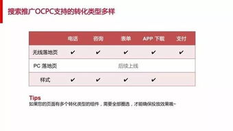 白条提现掌柜安全吗—深度解析与案例分享