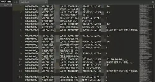 揭秘查开房记录网址曝光背后的真相，如何正确使用与防范风险