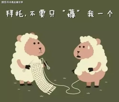 羊小咩便荔卡能否套出？详解其中的可能性与注意事项