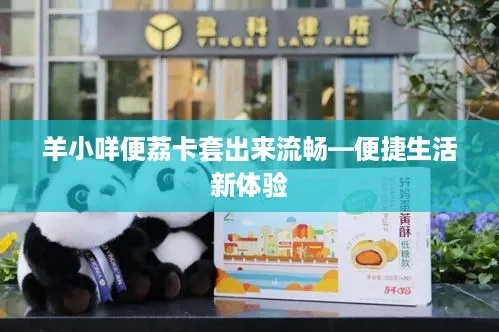羊小咩便荔卡能否套出？详解其中的可能性与注意事项