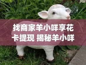 湛江花卡商家全攻略，手把手教你找羊小咩享花卡提现渠道