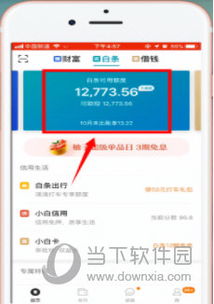 京东白条提现办法详解，步骤、注意事项与案例分享