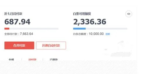 京东白条额度提现秒到攻略详解，操作指南与案例分享