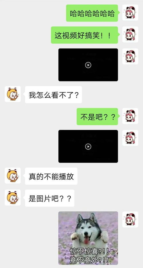 手把手教你查看男朋友微信聊天记录的6种方法（附避雷指南）
