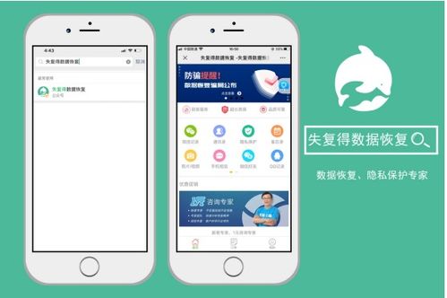 揭秘微信聊天记录查询方法，合法途径与风险防范指南