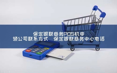 保定POS机办理公司全面解析