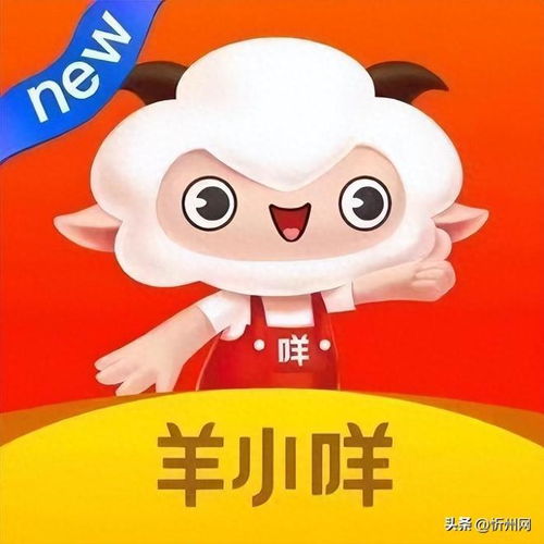羊小咩享花卡找商家套出来怎么办？全面解析与实用建议