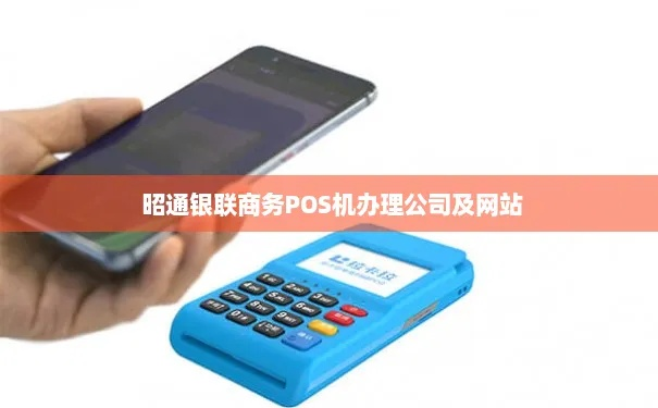 昭通银联商务POS机申请价格十大排行榜