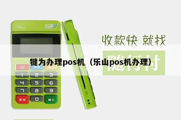 乐山办理POS机指南