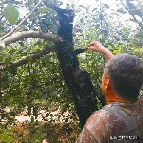 得物佳物分期额度大揭秘，如何轻松提升你的分期额度？