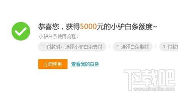揭秘小驴抖音月付套现全流程，风险与技巧并存，看完再决定