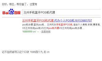 兰州专业POS机办理指南