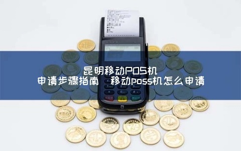 昆明办理POS机指南