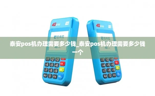 泰安POS机办理全攻略