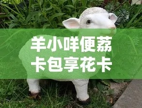 羊小咩便荔卡吃货卡提现攻略，操作指南与案例分享