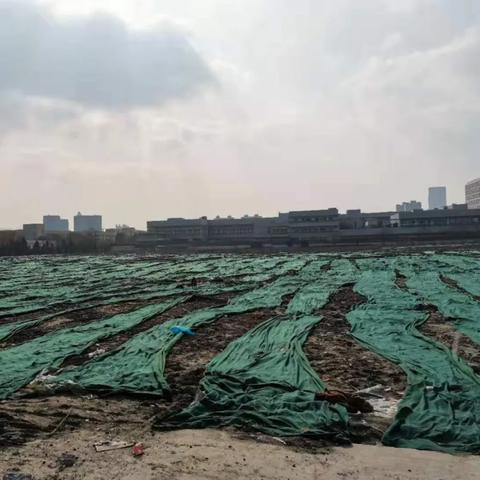 审计多久查一次酒店记录，探究与解析