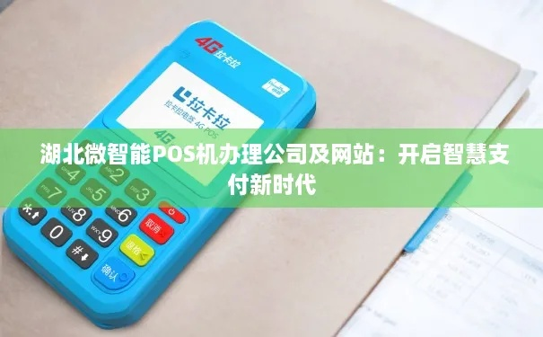 湖北智能POS机办理指南