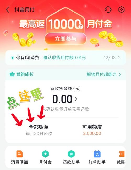 抖音月付套利息详解，如何计算利息，有哪些注意事项？