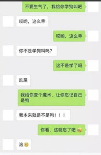 揭秘！如何在对方不知情的情况下获取聊天记录