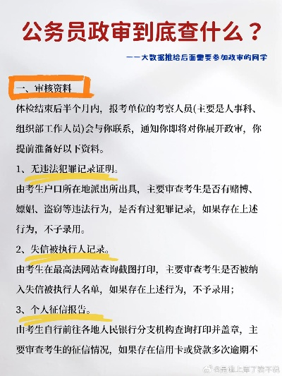 查酒店记录与政审，深度解读其背后的流程与要点