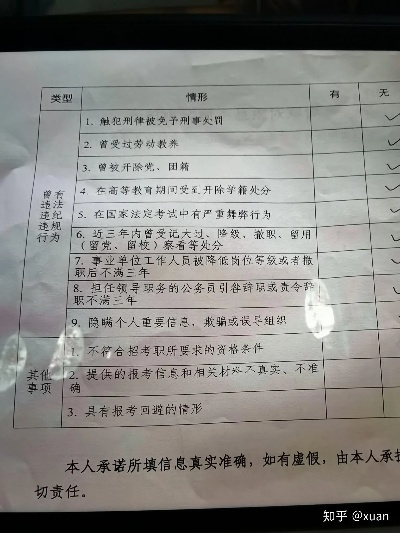 查酒店记录与政审，深度解读其背后的流程与要点